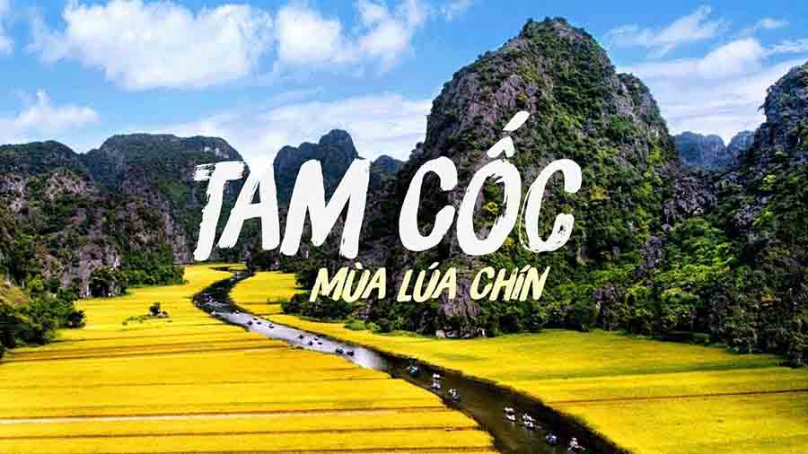 Top 7 địa điểm du lịch Ninh Bình đáng ghé qua check-in nhấti